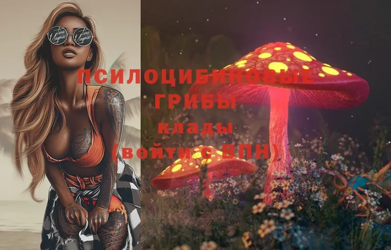 Псилоцибиновые грибы Magic Shrooms  купить   Грязовец 